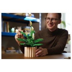 LEGO 11504 Botanicals Friedenslilie — Buy in Cyprus with Fast Delivery