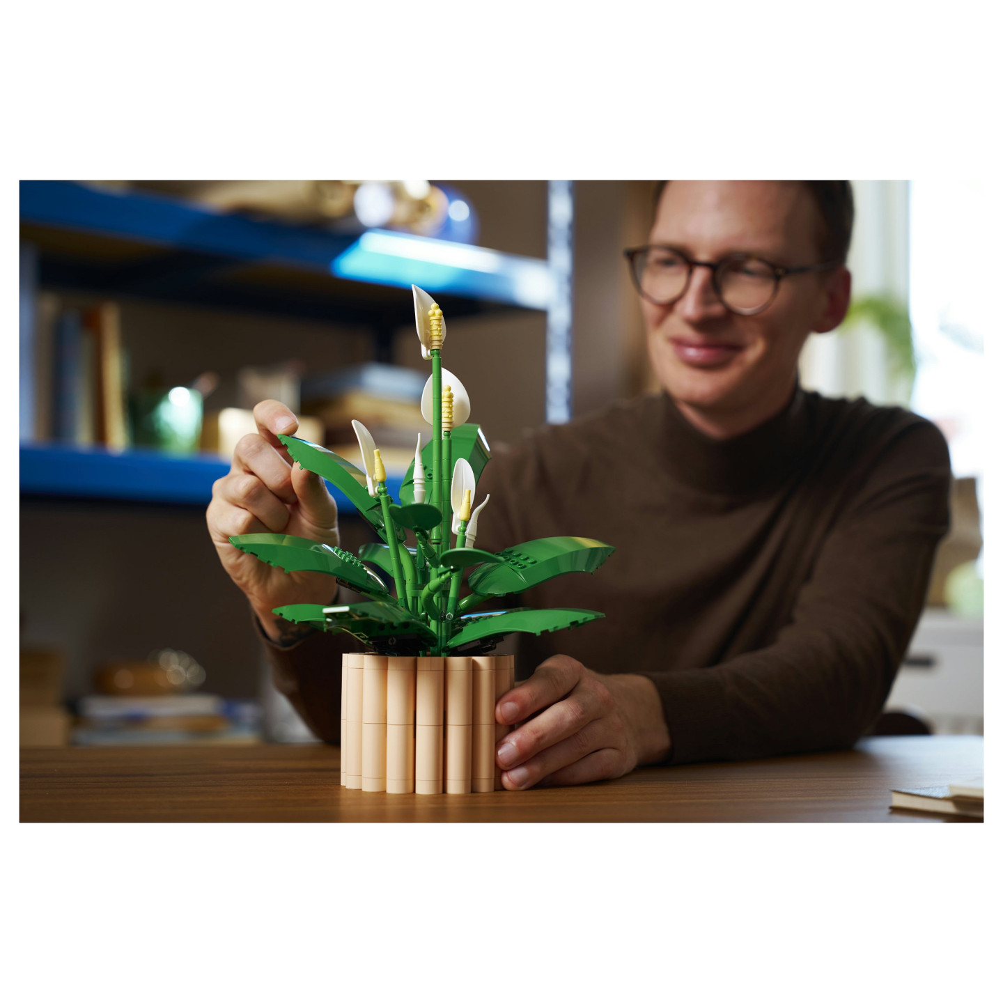 LEGO 11504 Botanicals Friedenslilie — Buy in Cyprus with Fast Delivery