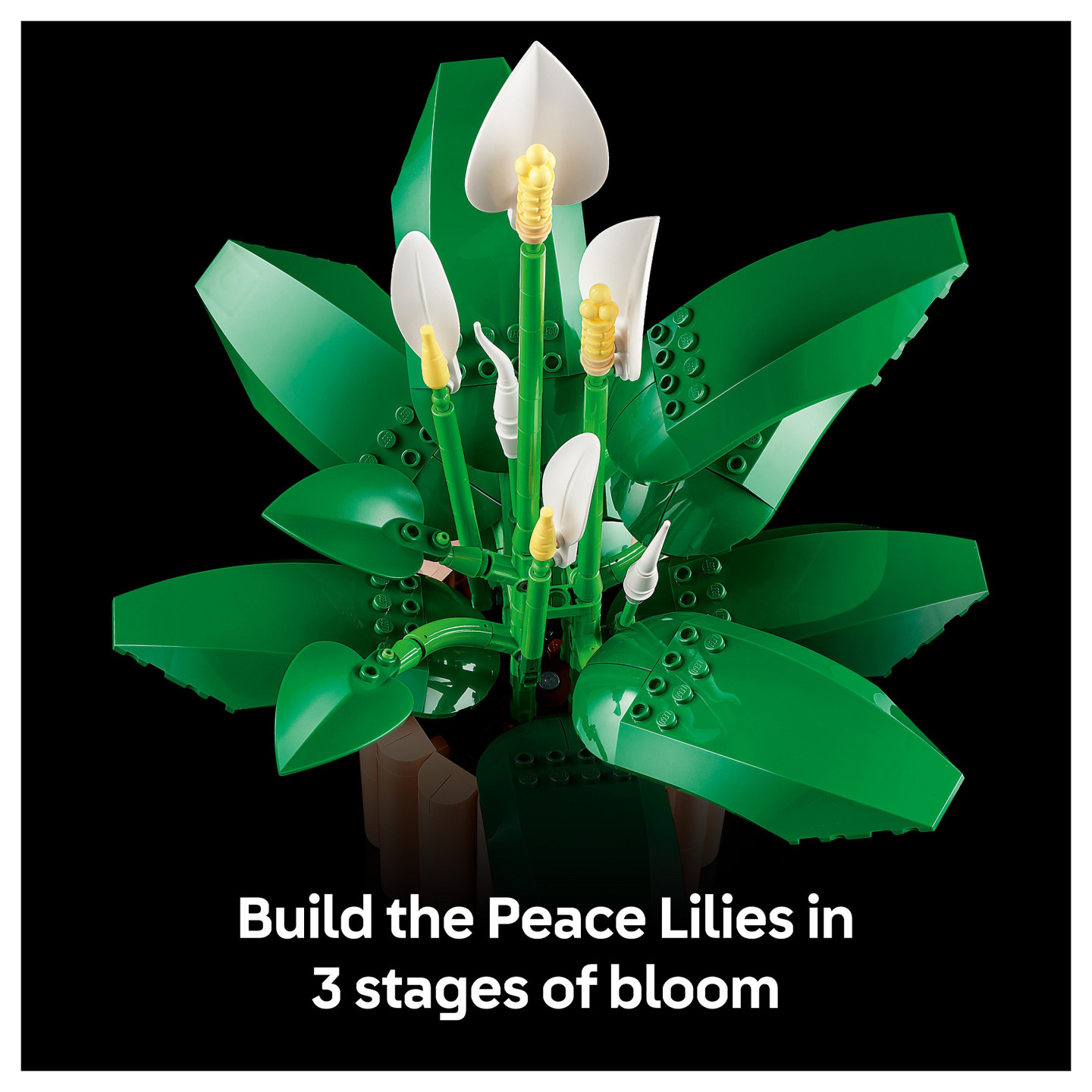 LEGO 11504 Botanicals Friedenslilie — Buy in Cyprus with Fast Delivery