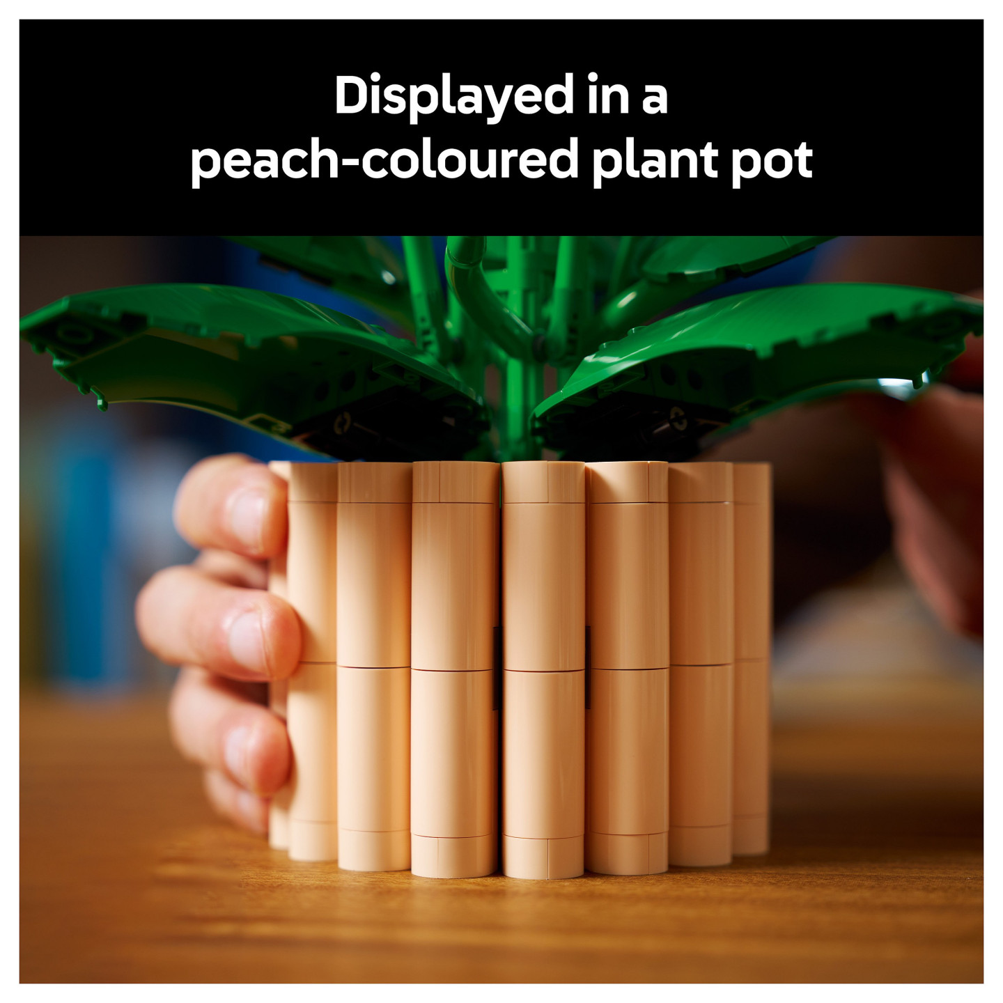 LEGO 11504 Botanicals Friedenslilie — Buy in Cyprus with Fast Delivery
