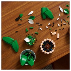 LEGO 11504 Botanicals Friedenslilie — Buy in Cyprus with Fast Delivery