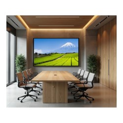 139.0cm 55' (3840x2160) JAPANNEXT JN-IPS550UHD60F 16:9 IPS 60Hz HDMI USB WLAN Speaker Black — Buy in Cyprus with Fast Delivery