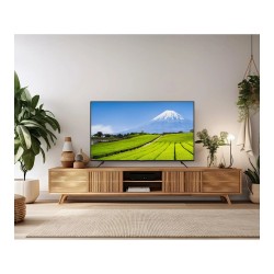139.0cm 55' (3840x2160) JAPANNEXT JN-IPS550UHD60F 16:9 IPS 60Hz HDMI USB WLAN Speaker Black — Buy in Cyprus with Fast Delivery