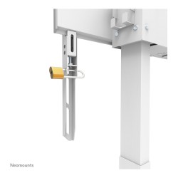 Neomounts Motorisierte Wandhalterung für Flachbild-Fernseher bis 100'' (254 cm) 110Kg WL55-875WH1 White