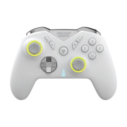 Dragonshock Controller Nebula Pro Wireless weiß Switch — Buy in Cyprus with Fast Delivery