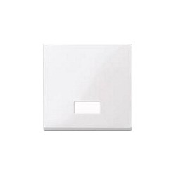MERTEN 432825 aws Wippe m Symbolfenster rechteckig glänzend — Buy in Cyprus with Fast Delivery