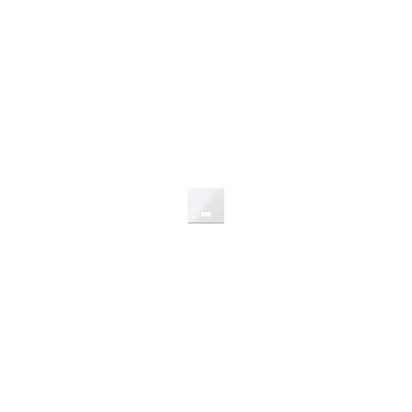 MERTEN 432825 aws Wippe m Symbolfenster rechteckig glänzend — Buy in Cyprus with Fast Delivery