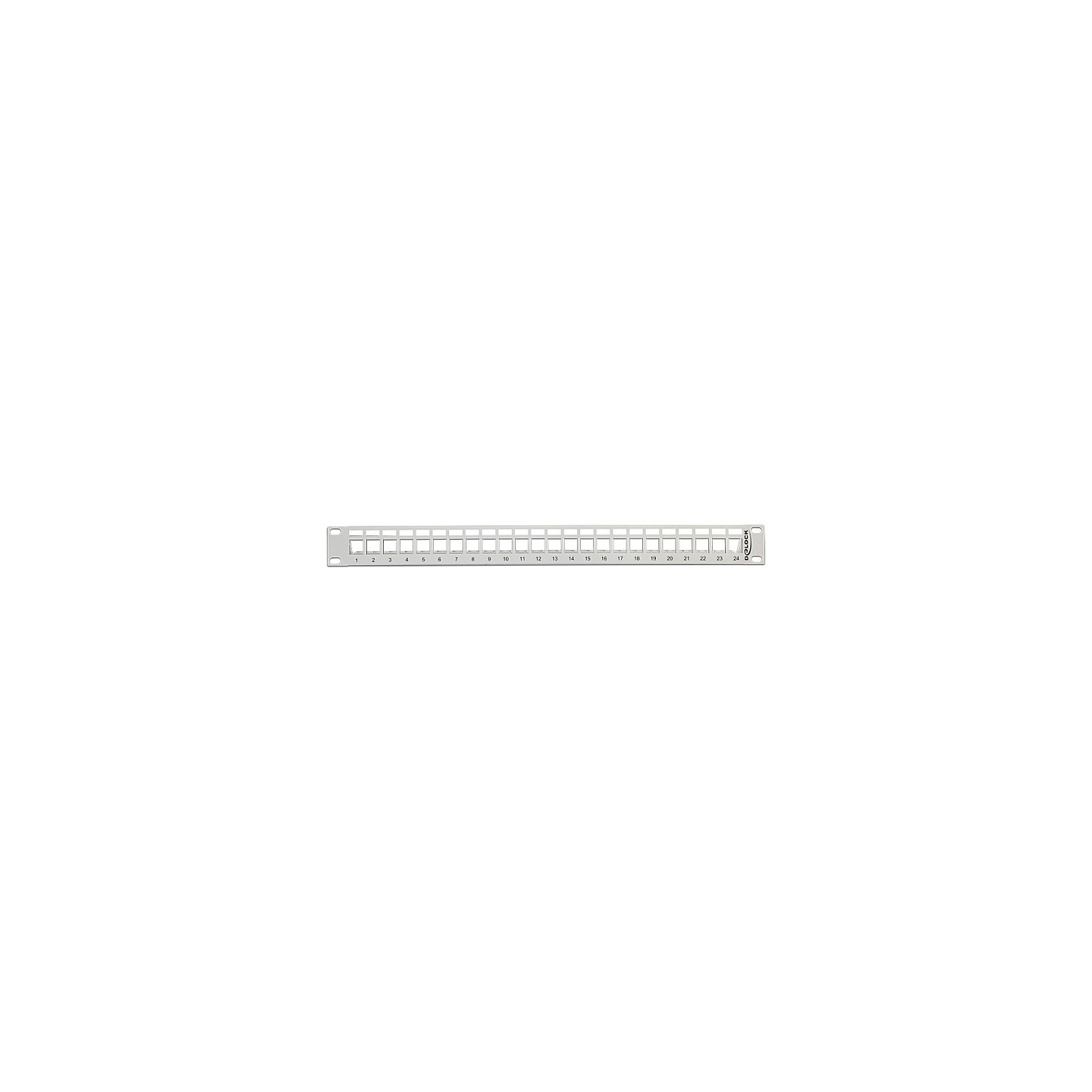 Delock 19? Keystone Patchpanel 24 Port grau — Buy in Cyprus with Fast Delivery