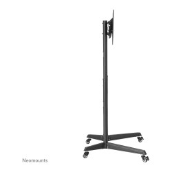 Neomounts Bodenständer für 37-70' Bildschirme 50KG FL50-540BL1 Schwarz — Buy in Cyprus with Fast Delivery
