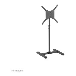 Bodenständer für Flachbild TV Monitor bis 55' (140 cm). Höhenverstellbar 20KG NS-FS100BLACK Neomounts