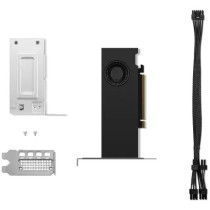 Lenovo NVIDIA RTX 2000 Ada - 4X61P69962 - 16GB GDDR6, Black, mini‑DP x4, PCIe x8 Gen4 — Buy in Cyprus with Fast Delivery