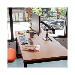 Ergotron LX Desk Mount LCD Arm — Buy in Cyprus with Fast Delivery