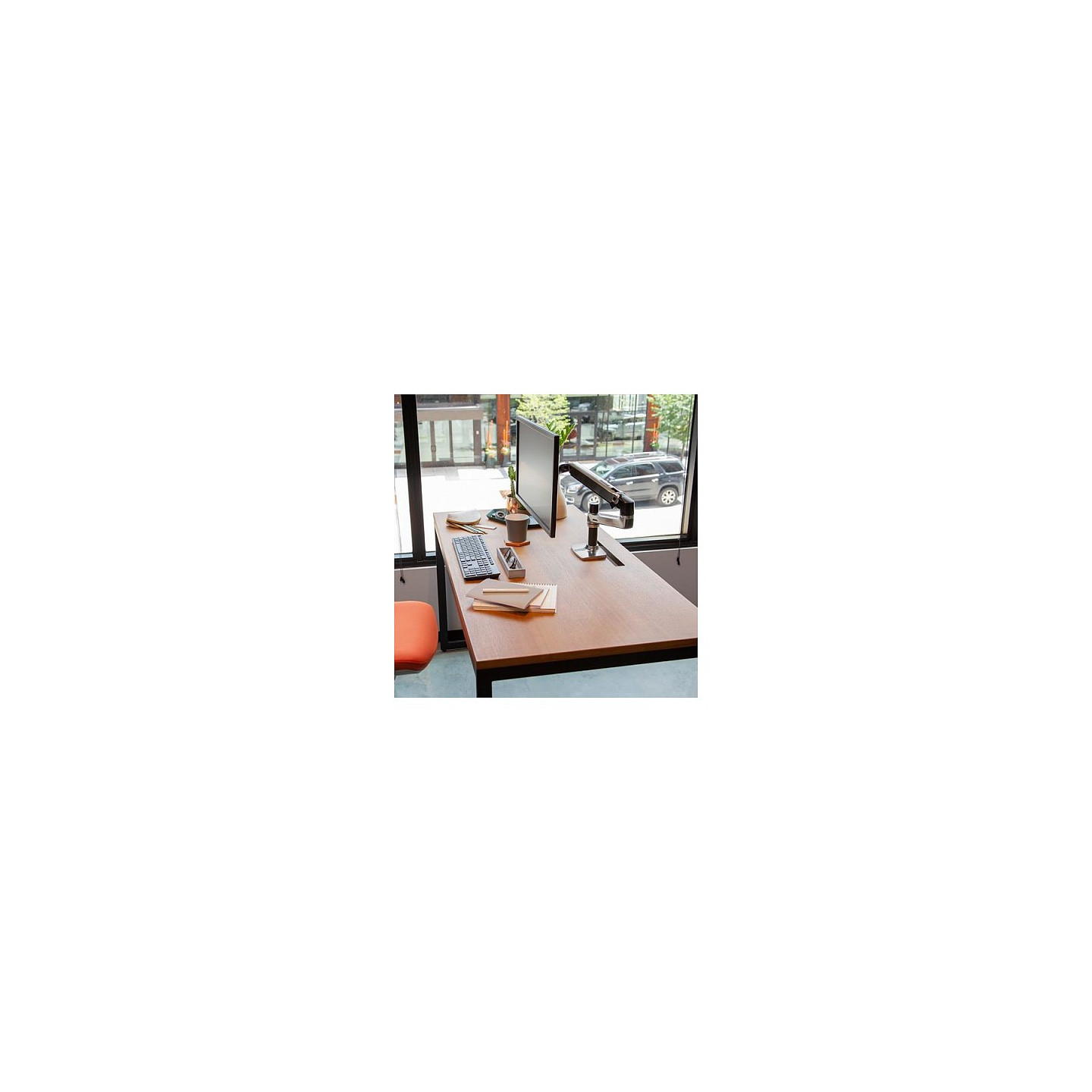 Ergotron LX Desk Mount LCD Arm — Buy in Cyprus with Fast Delivery