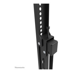 Neomounts WL30S-950BL19 feste Wandhalterung für 55-110' Bildschirme - Schwarz — Buy in Cyprus with Fast Delivery