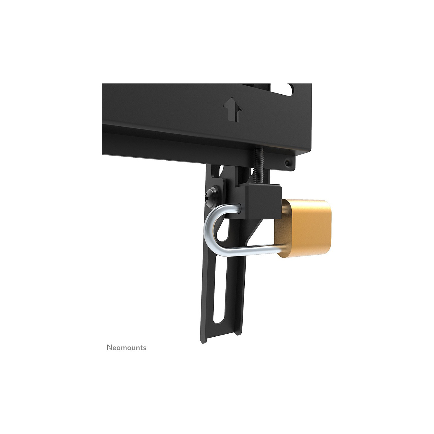 Wandhalterung für 24-55' Bildschirme 30KG Black Neomounts — Buy in Cyprus with Fast Delivery