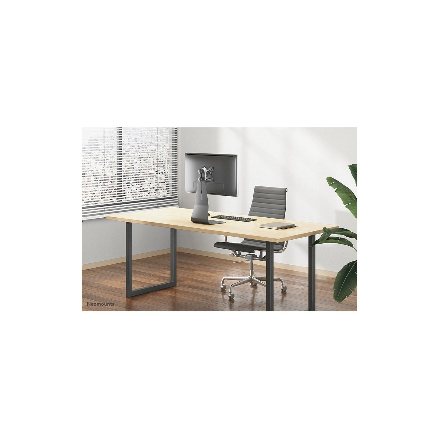 Tischhalterung für Flachbildschirme bis 27' (69 cm) 10KG FPMA-D850BLACK Neomounts — Buy in Cyprus with Fast Delivery