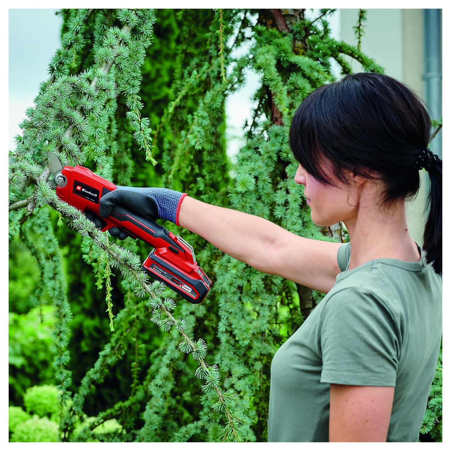 Einhell GE-LS 18 Li Solo Akku-Astschere — Buy in Cyprus with Fast Delivery