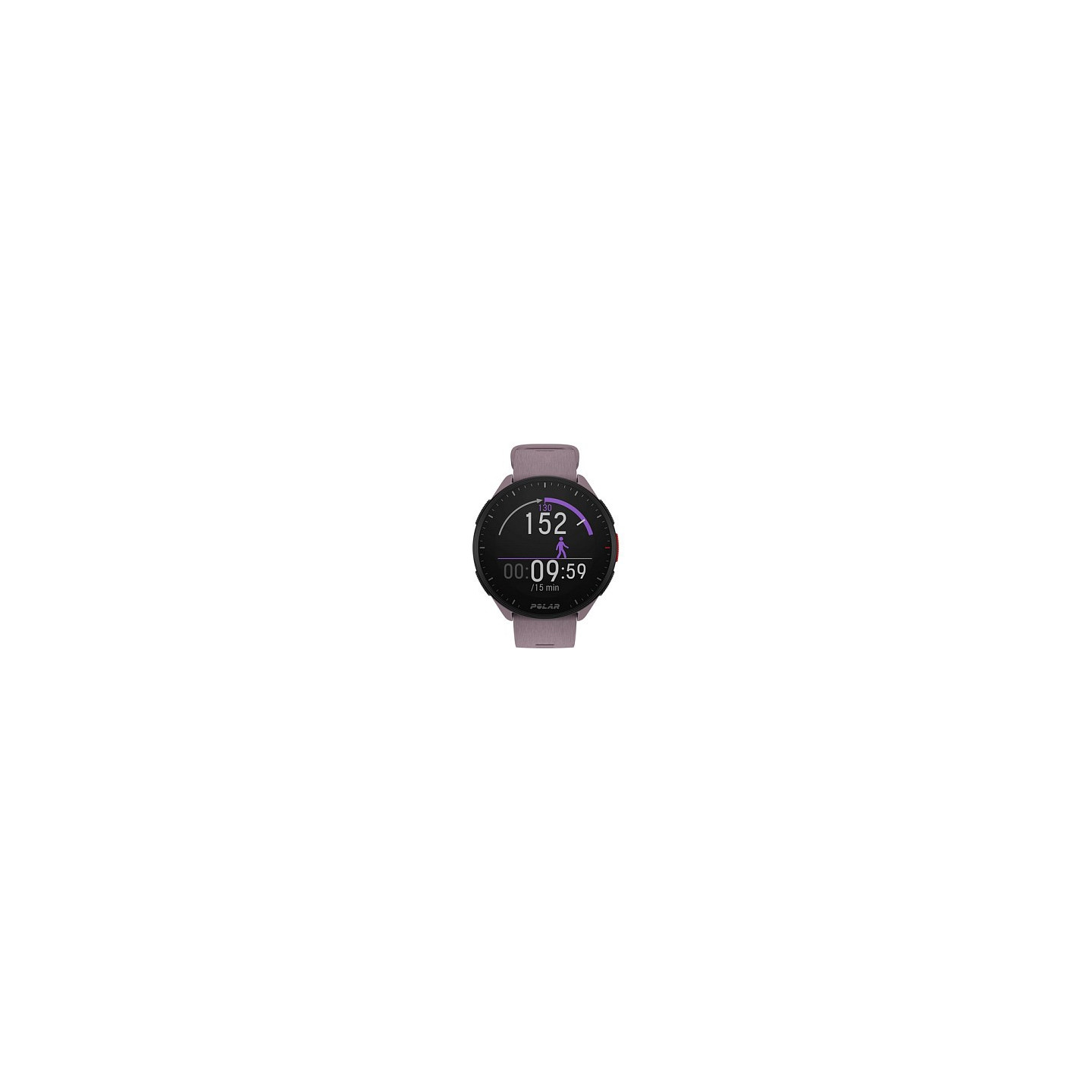 Polar Pacer S L bpurple — Buy in Cyprus with Fast Delivery