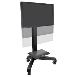 ZUB ERGOTRON Neo-Flex Mobile MediaCenter VHD — Buy in Cyprus with Fast Delivery