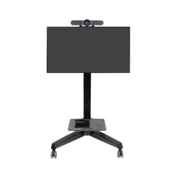 ZUB ERGOTRON Neo-Flex Mobile MediaCenter VHD — Buy in Cyprus with Fast Delivery