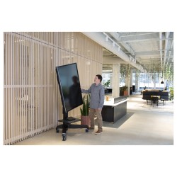 ZUB ERGOTRON Neo-Flex Mobile MediaCenter VHD — Buy in Cyprus with Fast Delivery