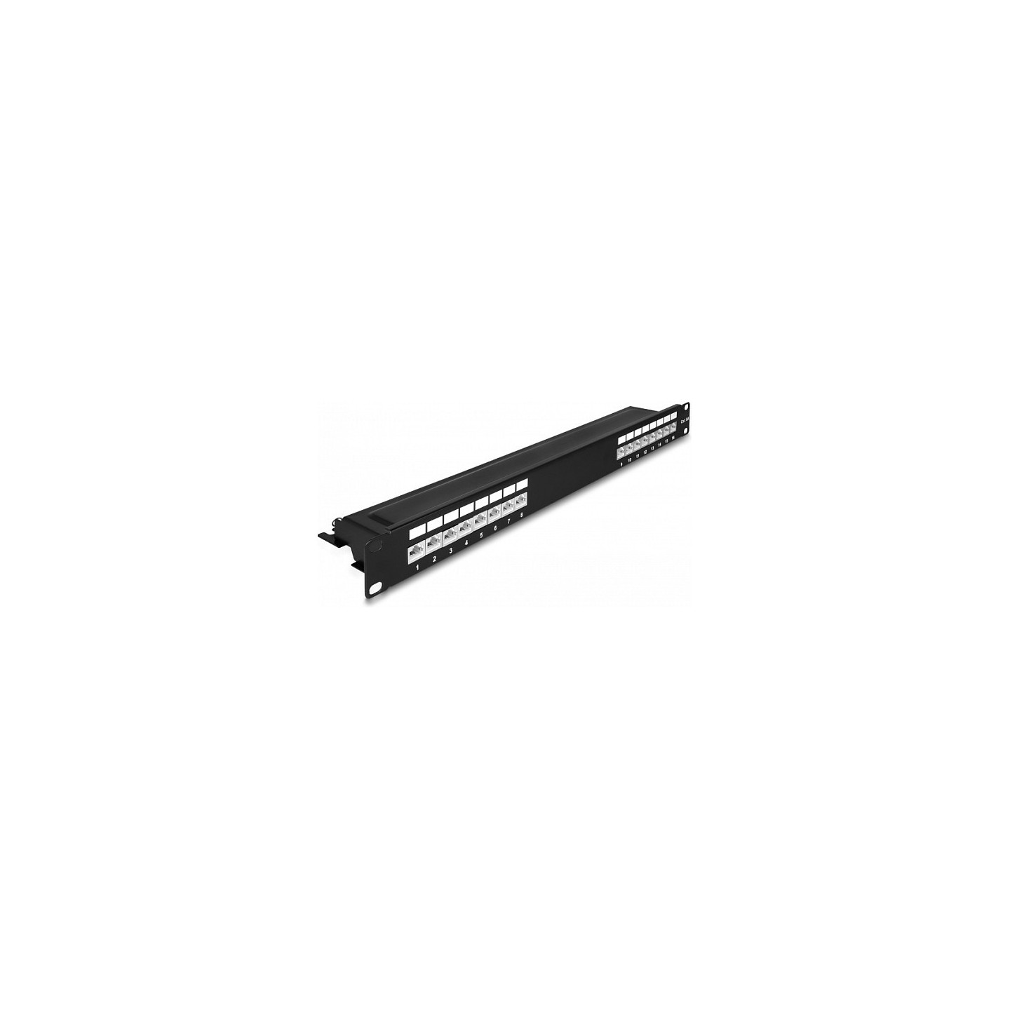 Delock 19? Patchpanel 16 Port Cat.6A 1 HE schwarz — Buy in Cyprus with Fast Delivery