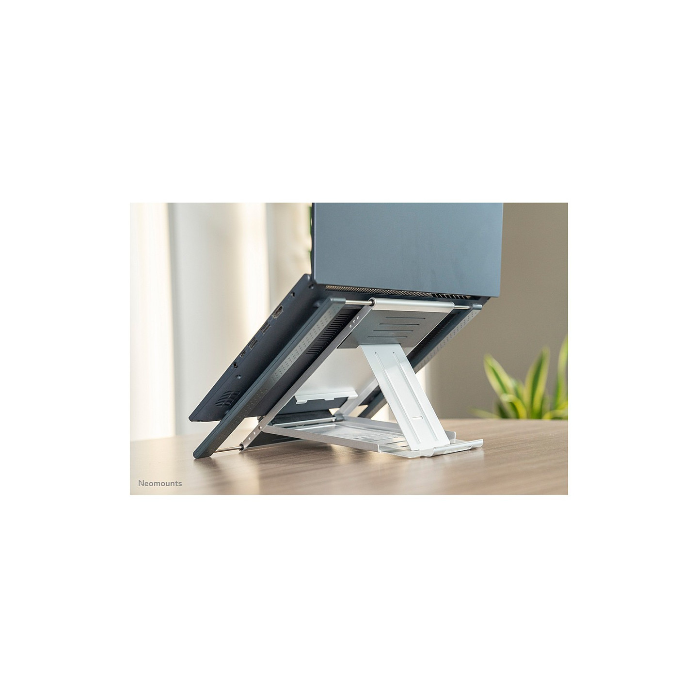 Neomounts Tischständer für Notebook und Tablets 5KG NSLS100 — Buy in Cyprus with Fast Delivery