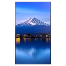 Sharp MultiSync P436 Digital Signage Display 108 cm 43 Zoll — Buy in Cyprus with Fast Delivery