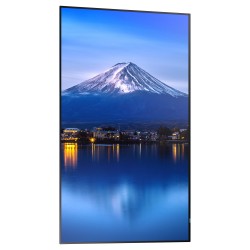 Sharp MultiSync P436 Digital Signage Display 108 cm 43 Zoll — Buy in Cyprus with Fast Delivery