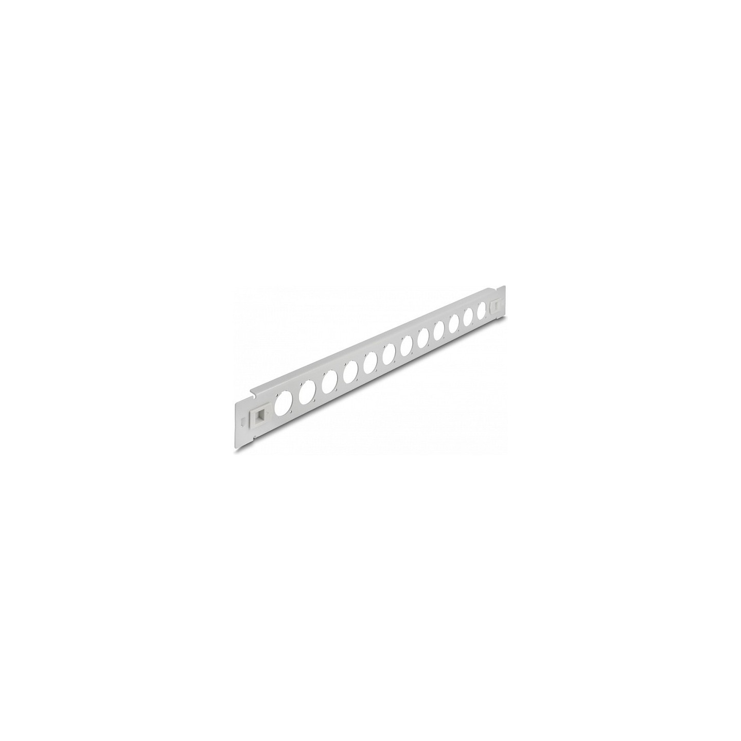 Delock 19? D-Typ Patchpanel 12 Port werkzeugfrei grau — Buy in Cyprus with Fast Delivery