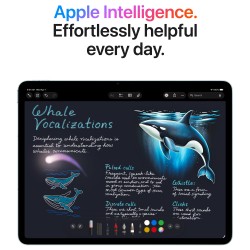 13 Apple iPad Air 13 M4 Wi-Fi + Cellular 128GB (blau) — Buy in Cyprus with Fast Delivery