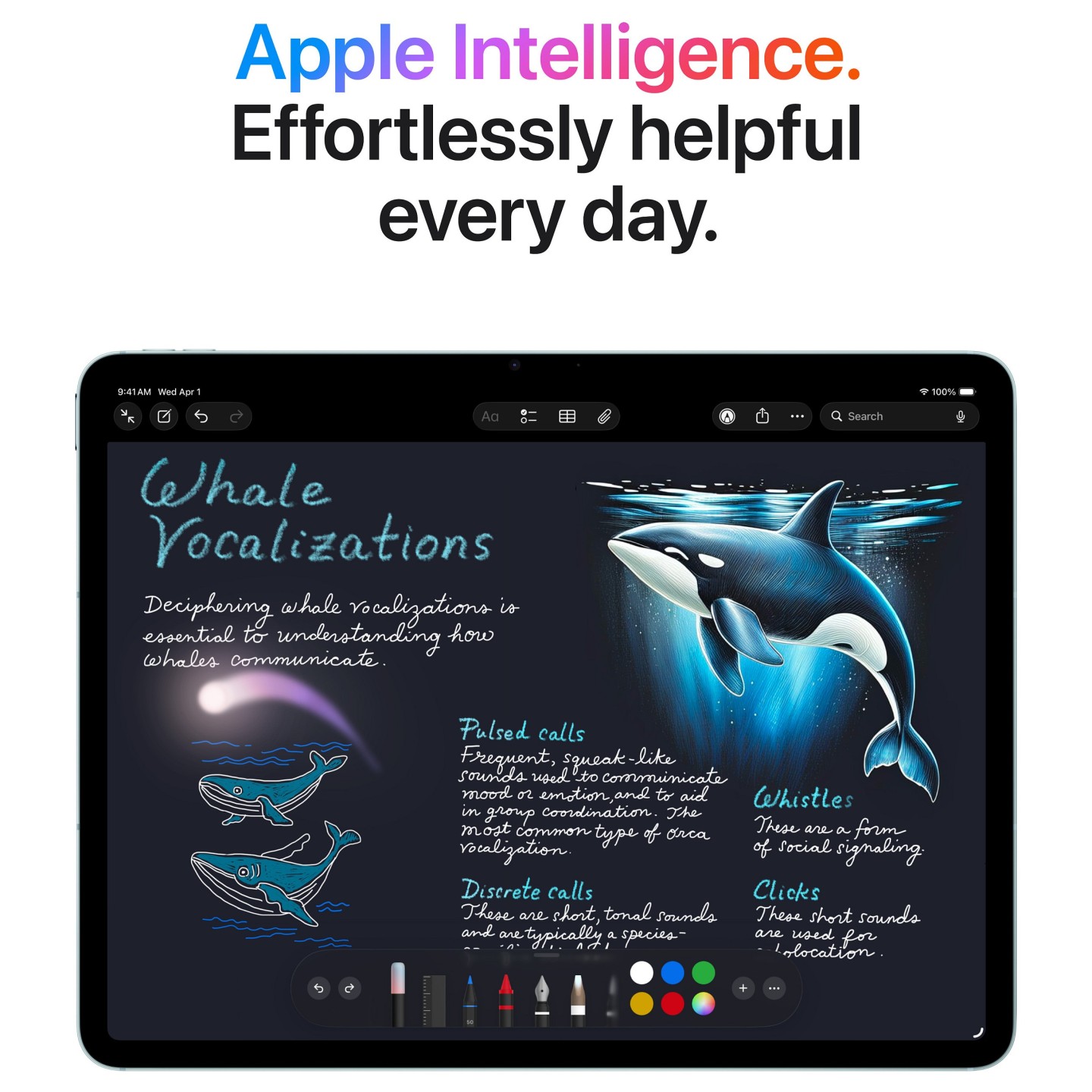 13 Apple iPad Air 13 M4 Wi-Fi + Cellular 128GB (blau) — Buy in Cyprus with Fast Delivery