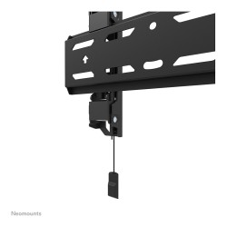 Wandhalterung für 24-55' Bildschirme 50KG WL30S-850BL12 Neomounts — Buy in Cyprus with Fast Delivery