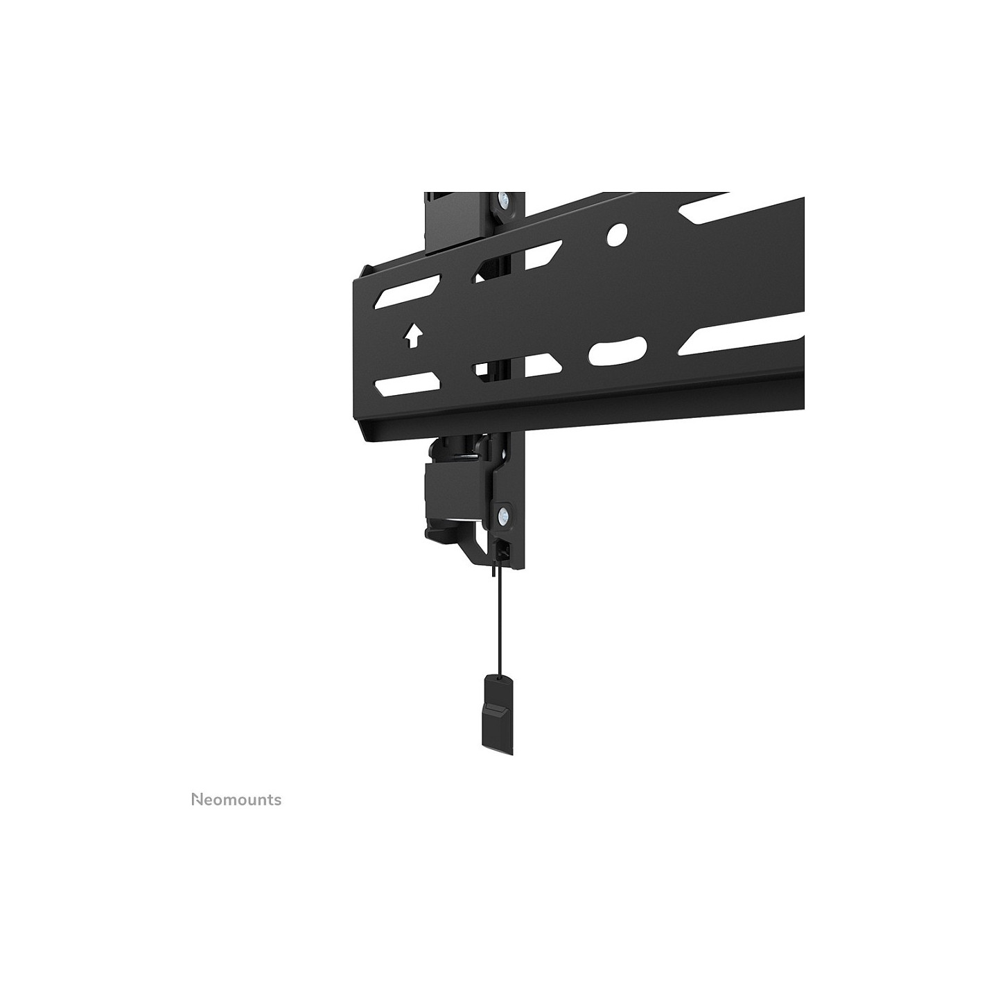 Wandhalterung für 24-55' Bildschirme 50KG WL30S-850BL12 Neomounts — Buy in Cyprus with Fast Delivery