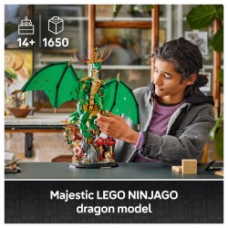 LEGO NINJAGO 71847 Der Drachenwchter (71847) — Buy in Cyprus with Fast Delivery