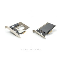PCI Express 4.0 x4 Karte zu 1 x NVMe M.2 Key M 110 mm oder U.2 Slot — Buy in Cyprus with Fast Delivery