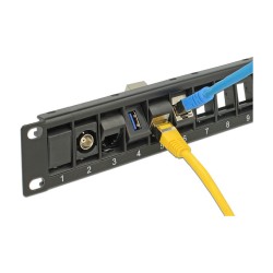 Delock 19? Keystone Patchpanel 24 Port drehbar schwarz — Buy in Cyprus with Fast Delivery