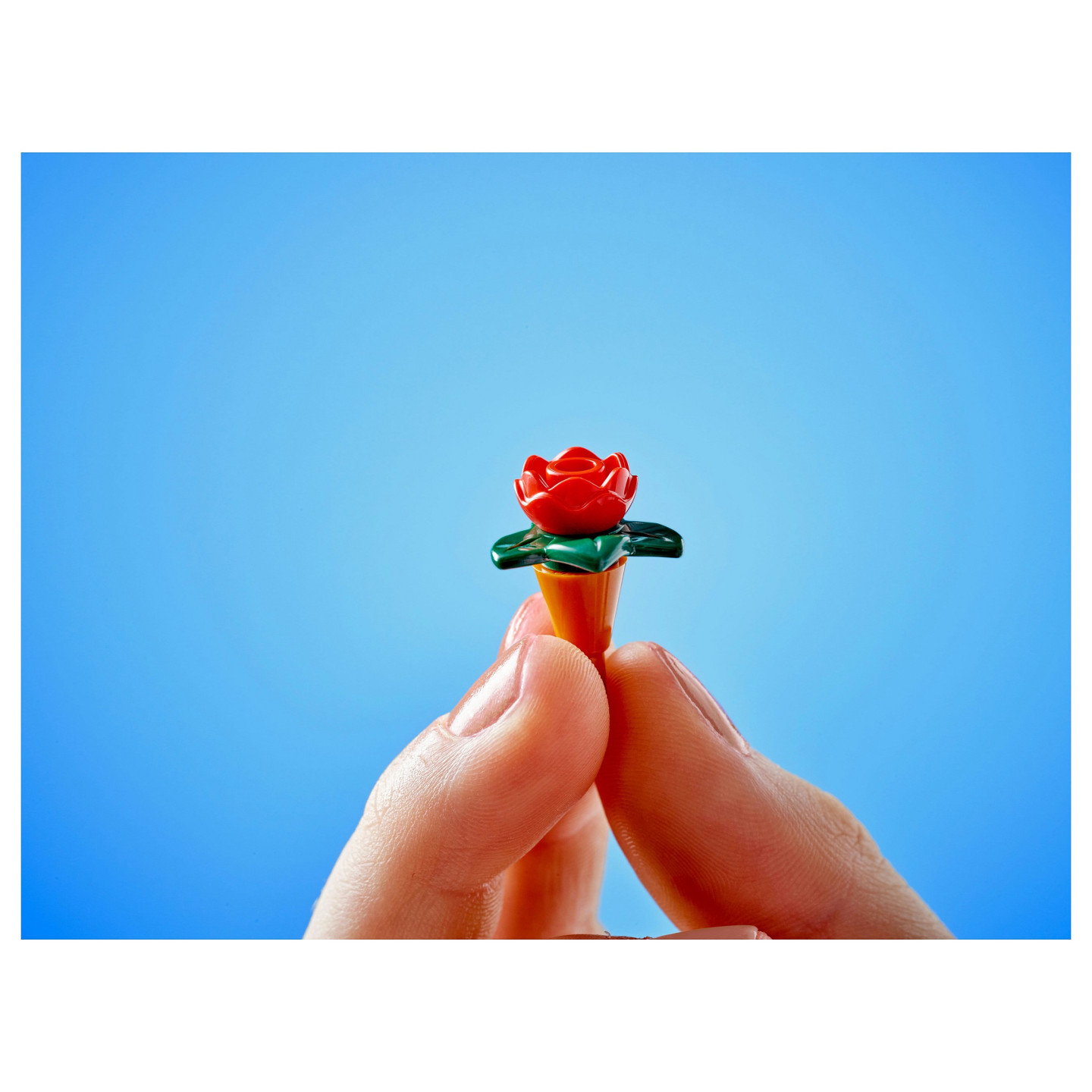LEGO 42671 Friends Pflanzencaf und Blumenkiosk — Buy in Cyprus with Fast Delivery