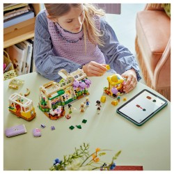 LEGO 42671 Friends Pflanzencaf und Blumenkiosk — Buy in Cyprus with Fast Delivery