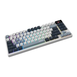 MSI FORGE GK600 TKL W SKY Gaming Keyboard Wireless — Buy in Cyprus with Fast Delivery