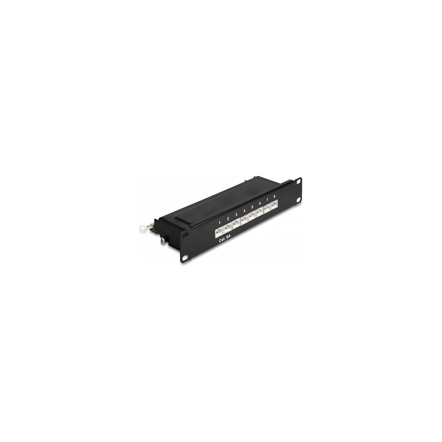 Delock 10? Patchpanel 8 Port Cat.6A 1 HE schwarz — Buy in Cyprus with Fast Delivery