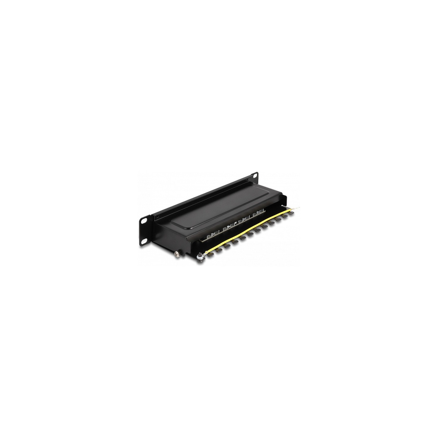 Delock 10? Patchpanel 8 Port Cat.6A 1 HE schwarz — Buy in Cyprus with Fast Delivery