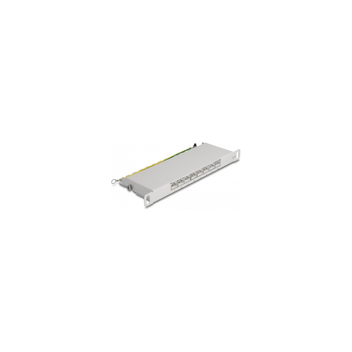Delock 10? Patchpanel 8 Port Cat.6A 0.5 HE grau — Buy in Cyprus with Fast Delivery