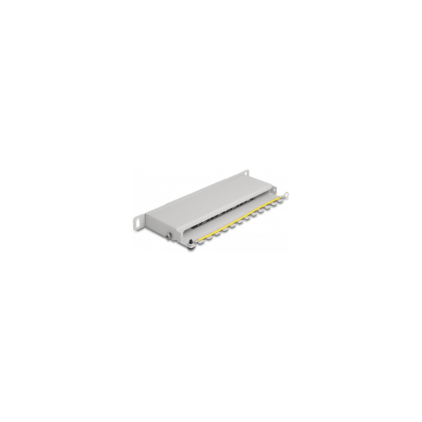 Delock 10? Patchpanel 8 Port Cat.6A 0.5 HE grau — Buy in Cyprus with Fast Delivery