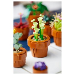 LEGO Icons Mini Pflanzen 10329 — Buy in Cyprus with Fast Delivery