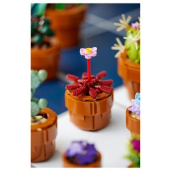 LEGO Icons Mini Pflanzen 10329 — Buy in Cyprus with Fast Delivery