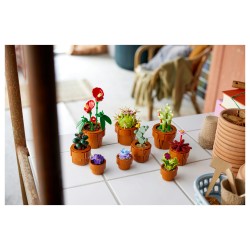 LEGO Icons Mini Pflanzen 10329 — Buy in Cyprus with Fast Delivery