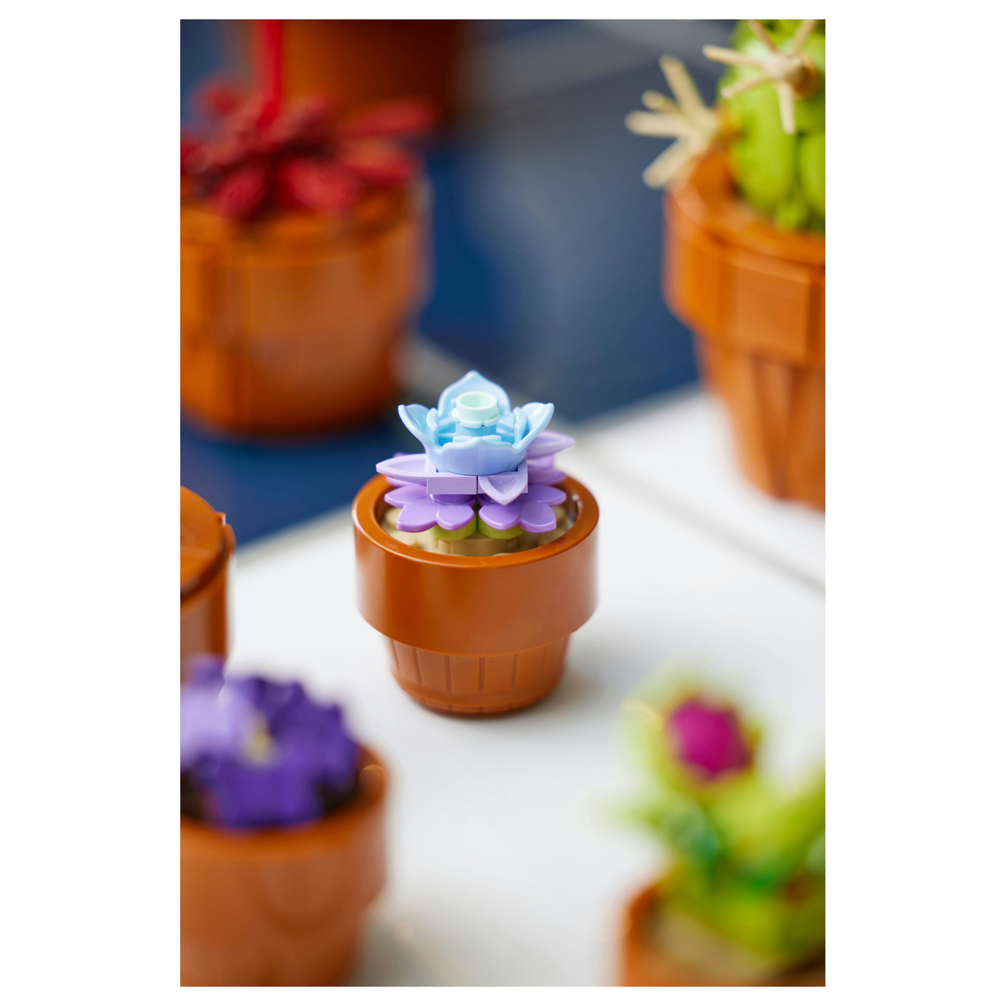 LEGO Icons Mini Pflanzen 10329 — Buy in Cyprus with Fast Delivery