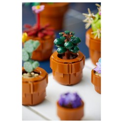 LEGO Icons Mini Pflanzen 10329 — Buy in Cyprus with Fast Delivery