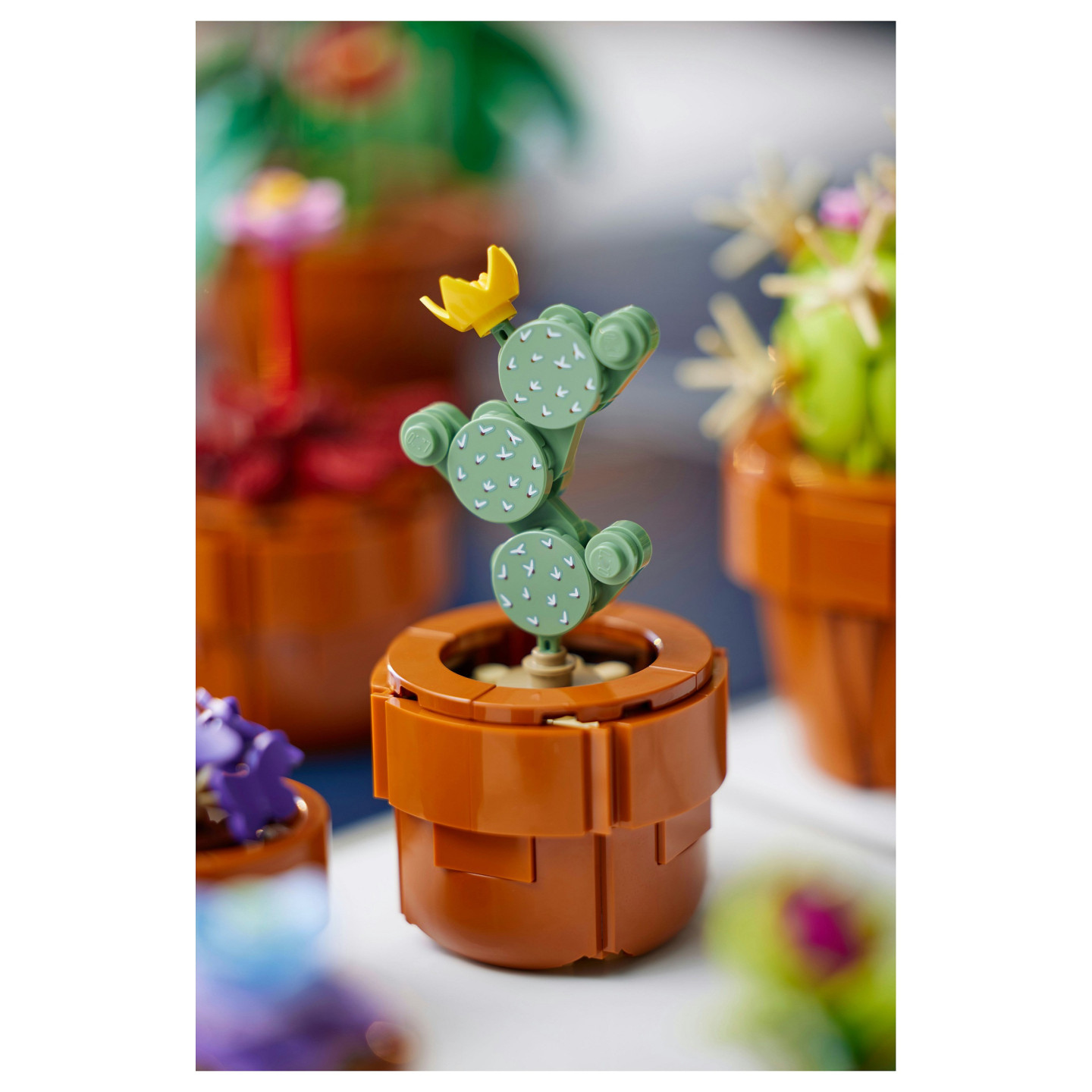 LEGO Icons Mini Pflanzen 10329 — Buy in Cyprus with Fast Delivery